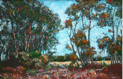Shea Oaks, 1990
